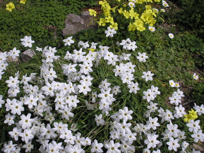 d0096542_173849.jpg