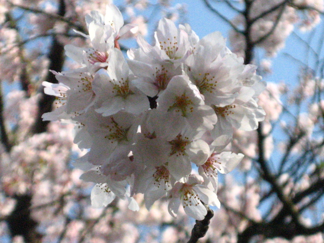f0154245_1813496.jpg