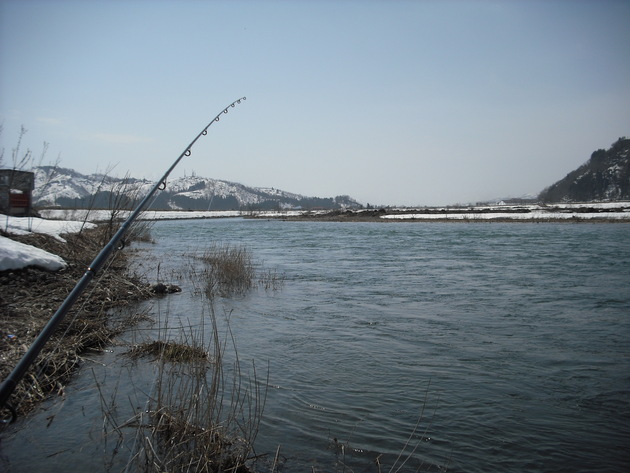 b0180946_4355228.jpg