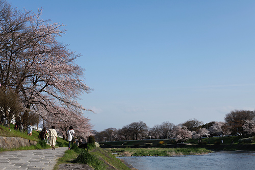 d0008146_10212.jpg