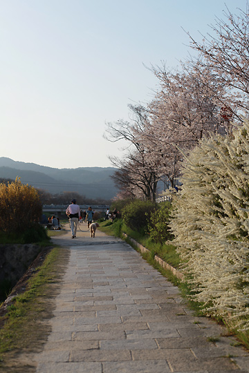 d0008146_1564586.jpg