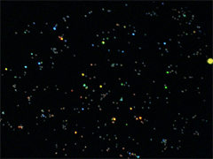 e0005548_0571531.gif