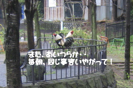 e0121548_20295620.jpg