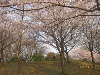 e0121548_21141985.jpg