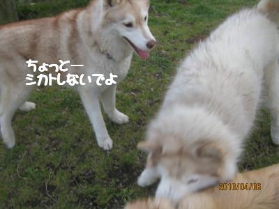 e0121548_2138131.jpg