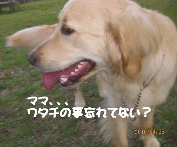 e0121548_2147819.jpg