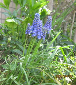 e0121548_2163488.jpg