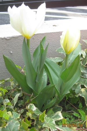 e0121548_2173841.jpg