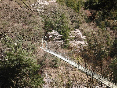 d0138650_23475441.jpg