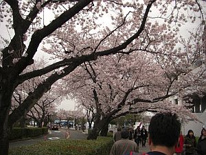 b0163551_15211814.jpg