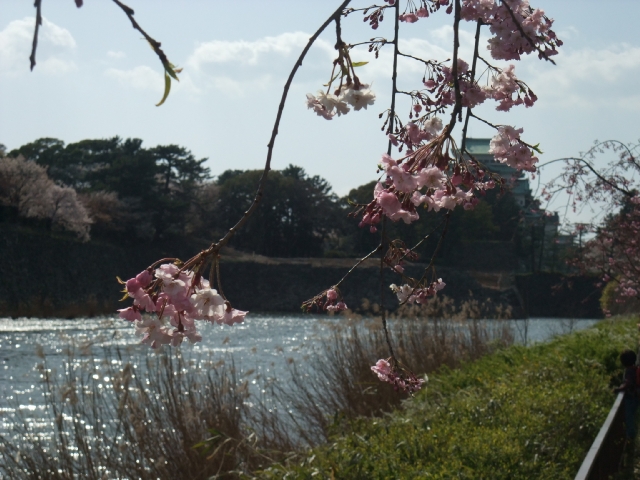 b0176257_9245154.jpg
