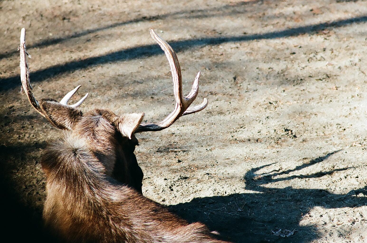 f0213960_11251667.jpg