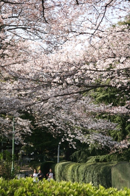 b0138661_1294173.jpg