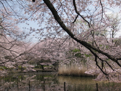 b0158061_20504242.jpg