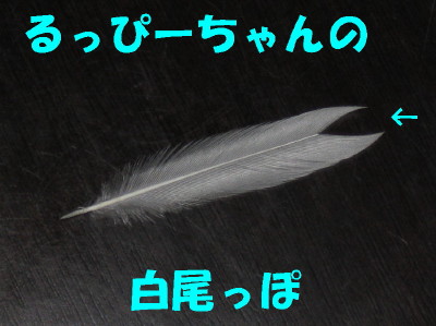 b0158061_20521757.jpg