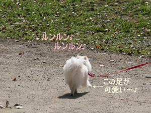 d0054461_15554646.jpg
