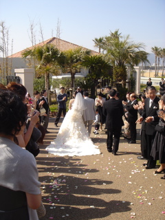 a0159363_013835.jpg