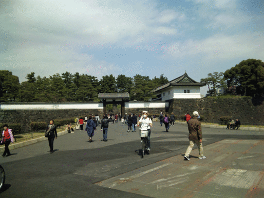 b0101263_9155719.gif