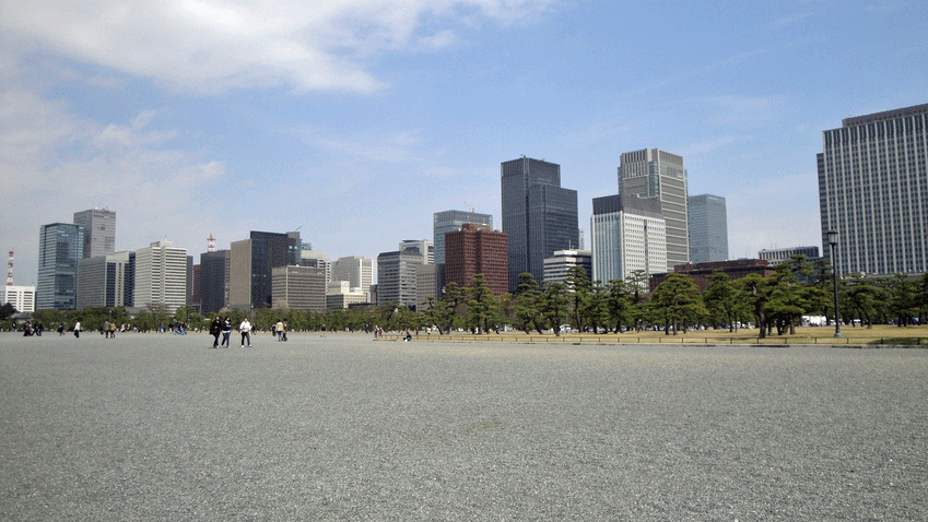 b0101263_9193093.gif