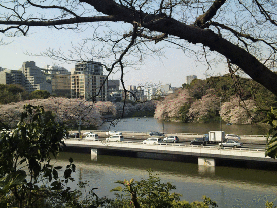 b0101263_9212558.gif