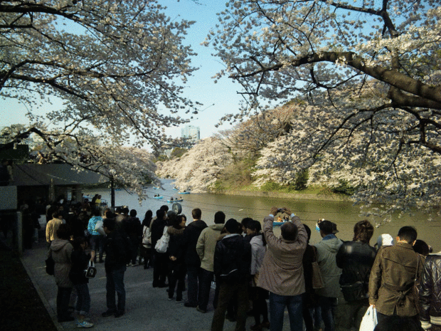 b0101263_9224969.gif