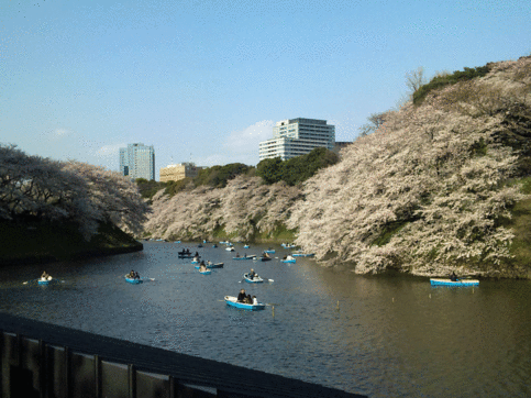 b0101263_9232484.gif