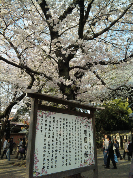 b0101263_9242884.gif