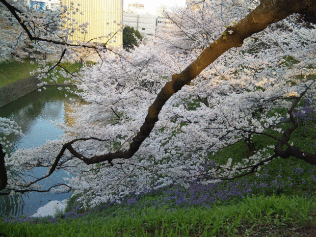 b0101263_9262911.gif