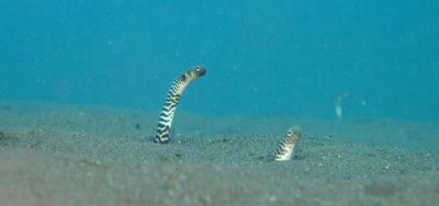 e0184067_10133982.jpg