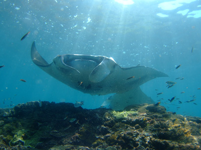 e0184067_10153522.jpg