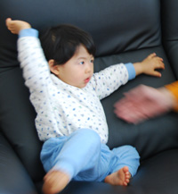 a0127469_15235127.jpg