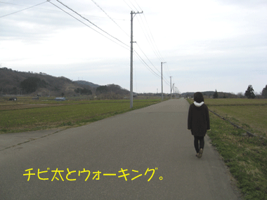 d0050871_1021438.gif