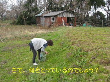 d0050871_10255116.gif