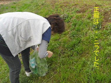 d0050871_10263131.gif