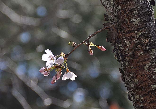 f0198771_103712.jpg