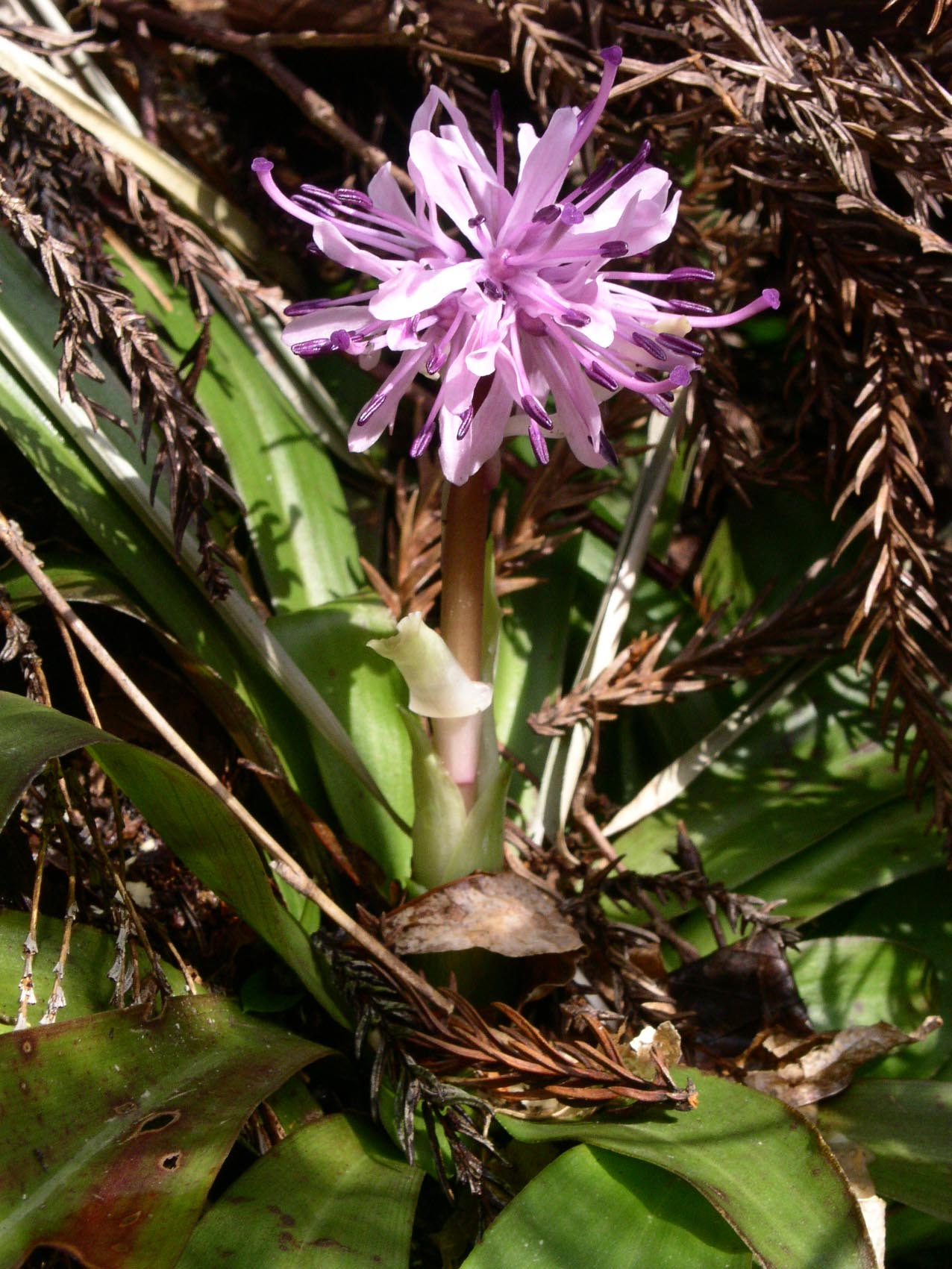 e0118274_21355920.jpg
