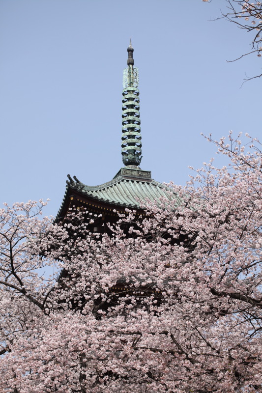 c0210275_20403350.jpg