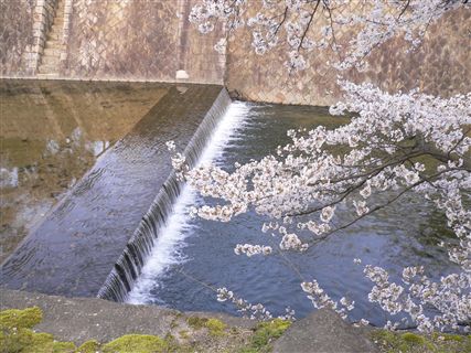 f0001378_21364365.jpg