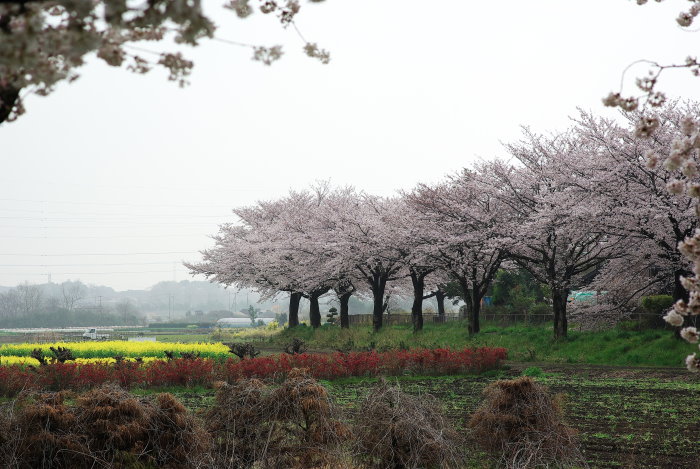 b0120979_17473470.jpg