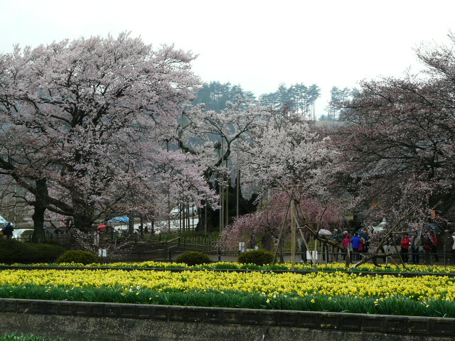 e0145782_145971.jpg