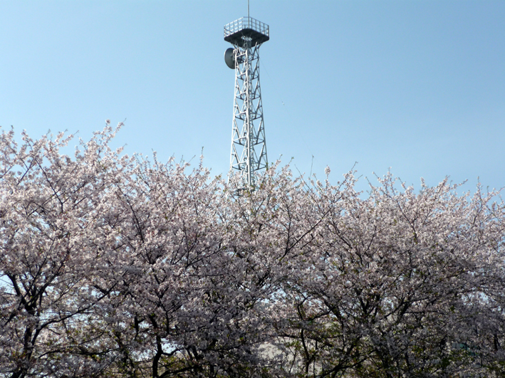 c0125283_852847.jpg