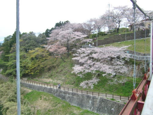 c0167785_22215538.jpg