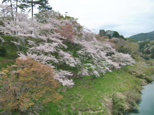 c0167785_2244238.jpg