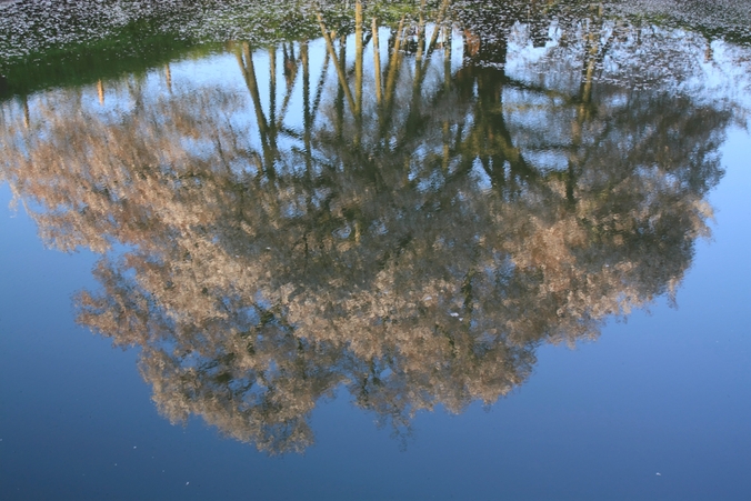 e0151486_20103930.jpg