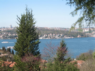 f0058691_4433636.jpg