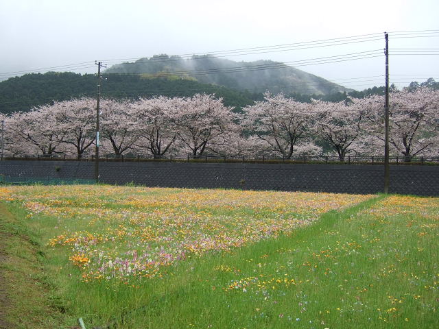 b0104592_1810504.jpg