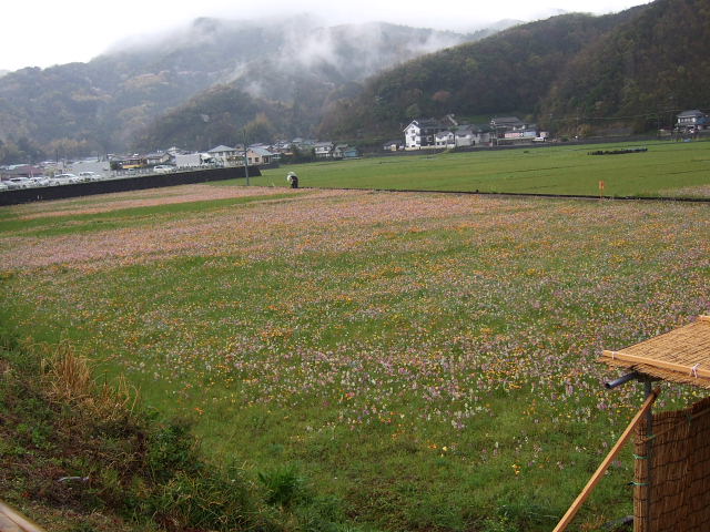b0104592_18144093.jpg
