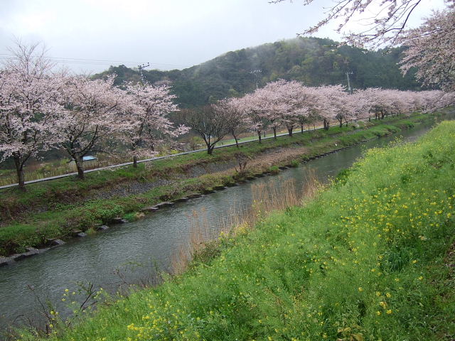 b0104592_18183122.jpg