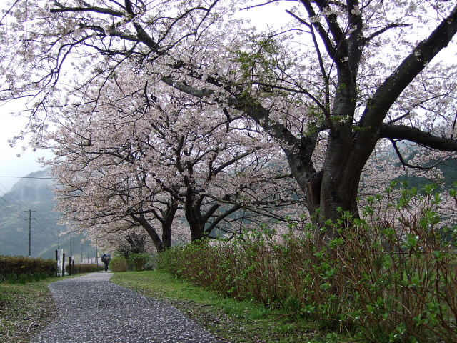 b0104592_18183753.jpg