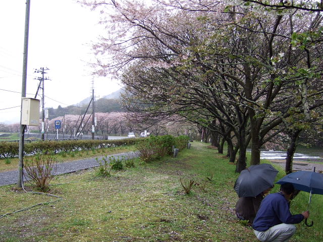 b0104592_18203930.jpg